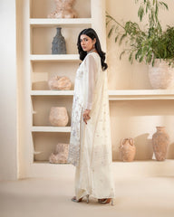 Zebtan Anaya Noor Chiffon Collection AN-05