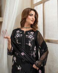 Zebtan Anaya Noor Chiffon Collection AN-06