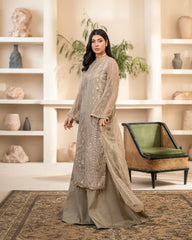 Zebtan Anaya Noor Chiffon Collection AN-07