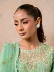 DR-11 | 3 PC Unstitched Suit Luxury Lawn Festive Eid Dil e Raqsam By Parishay