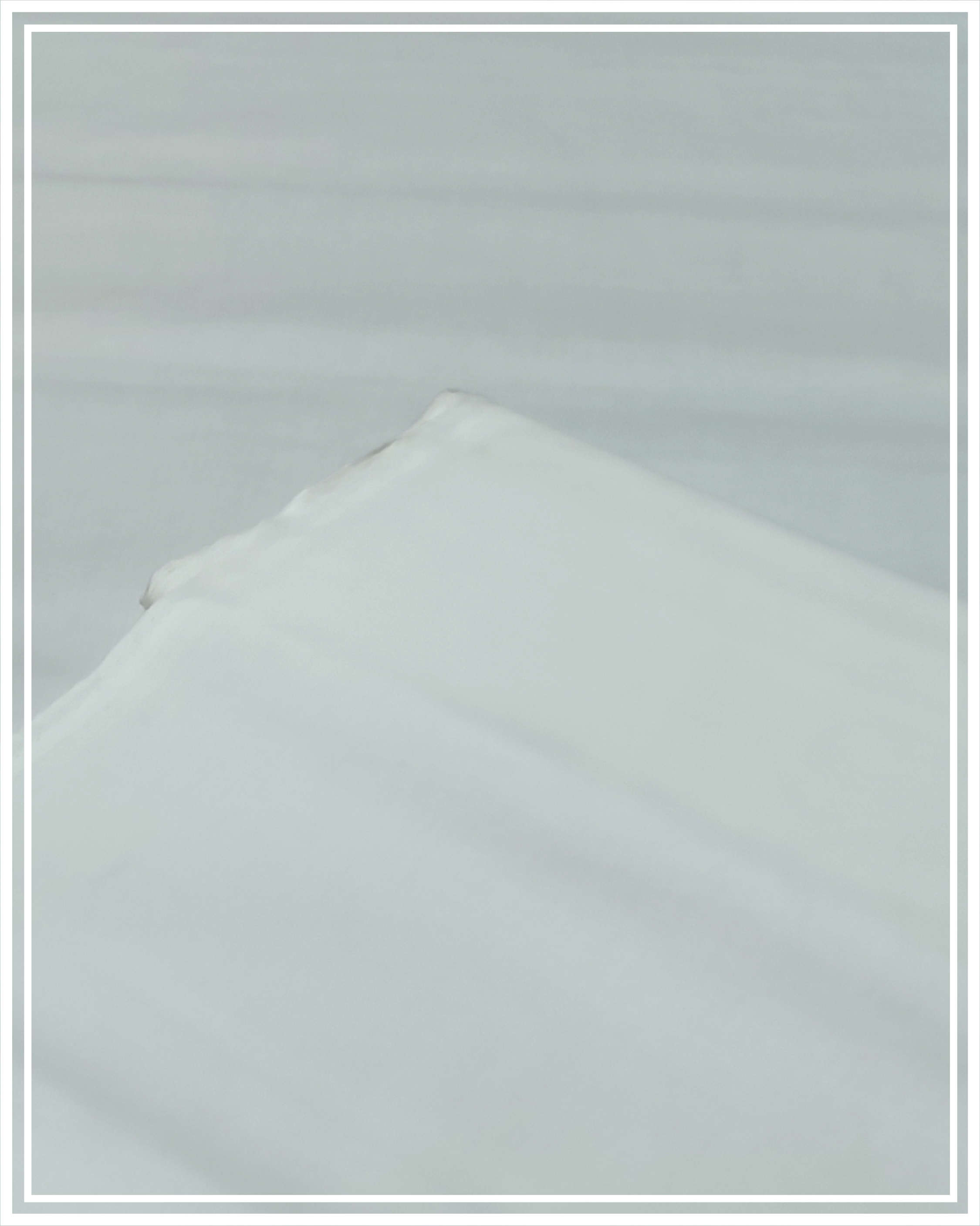 Opal Cotton By Puri Fabrics
