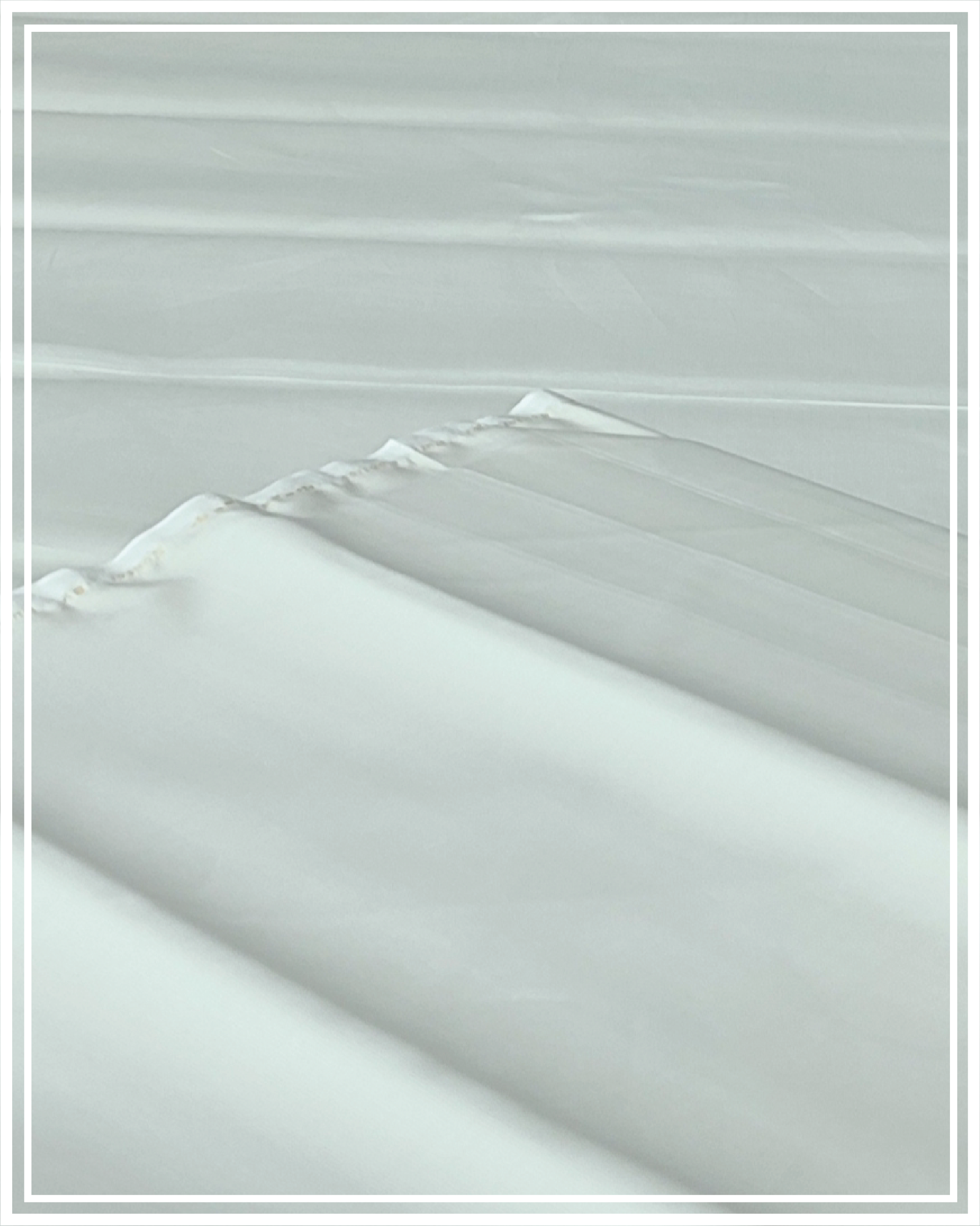 Soliatre Cotton By Puri Fabrics