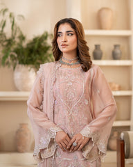 Zebtan Anaya Noor Chiffon Collection AN-03