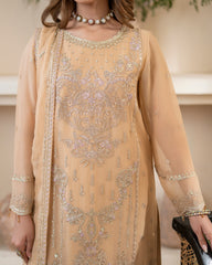 Zebtan Anaya Noor Chiffon Collection AN-09